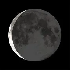Moonglow Moonstock Bangle Bracelet