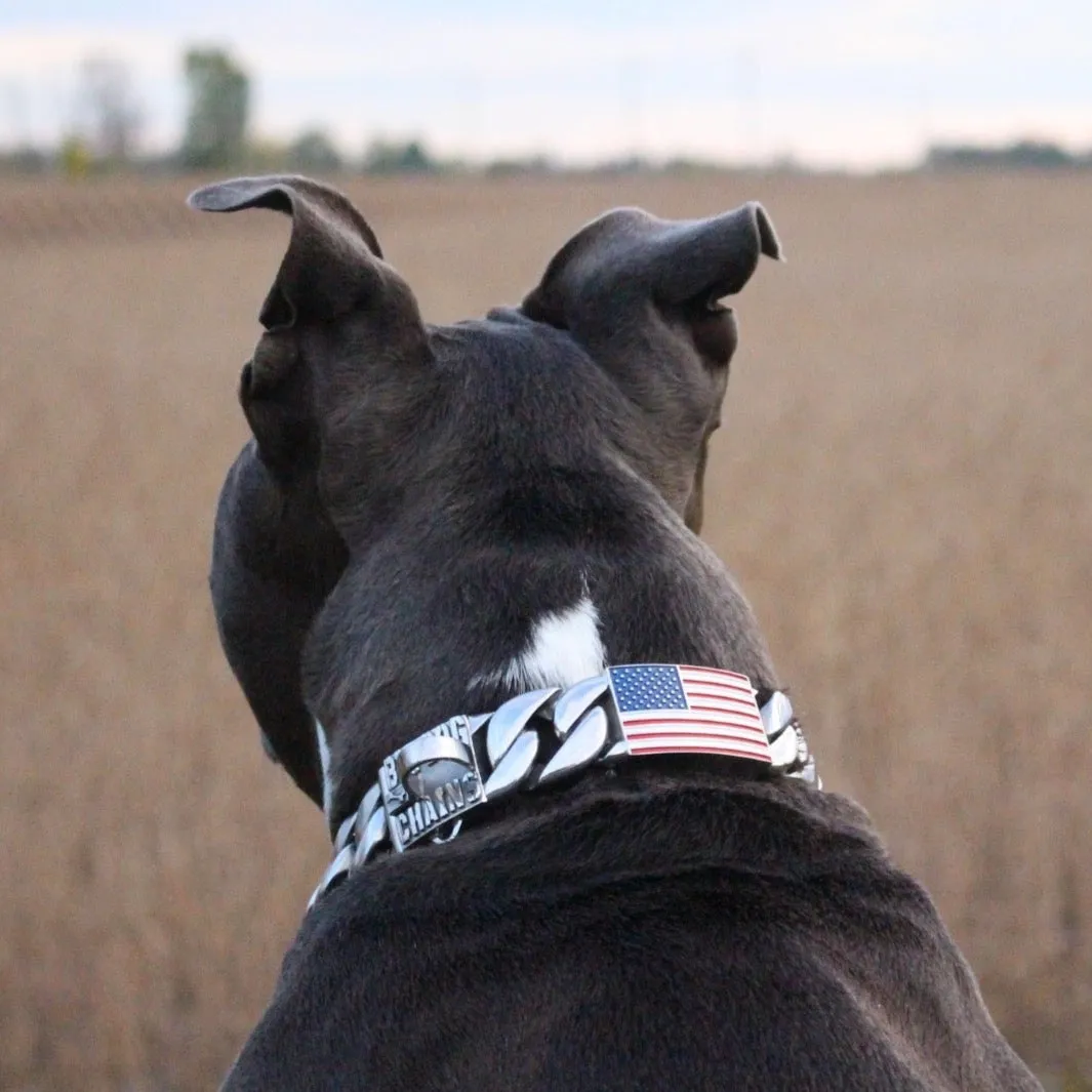 THE PATRIOT ID LINK